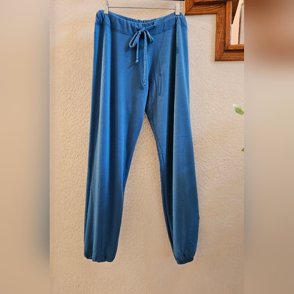Bleusalt Sweatpants Size 2(M-L) Pacific Blue EUC - Picture 4 of 5